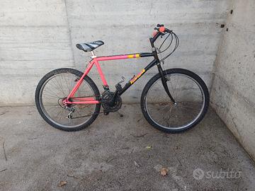 Mtb 24 pollici 