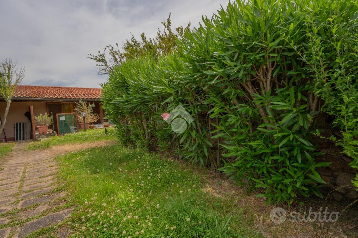 Casa – Terranoa/Olbia, Osseddu - Vista 3