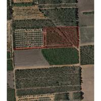 Terreno agricolo mq 11.140 Località "Campu Linus",