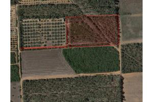 Terreno agricolo mq 11.140 Località "Campu Linus",