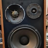 coppia casse autocostruite 