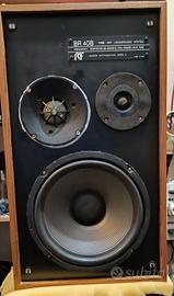 coppia casse autocostruite 