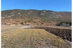 Terreno Agricolo San Pio delle Camere [A4352090]