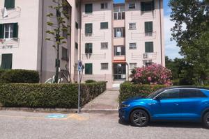 Marina di Pisa estate 2026