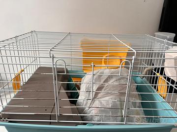 Gabbia roditori conigli, porcellini d’india, cavie