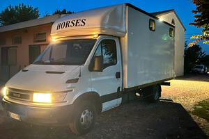 Iveco daily van trasporto cavalli