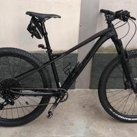 Mtb bicicletta