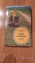 Alzati e cammina