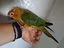 Immagine 3