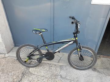 bmx grandis