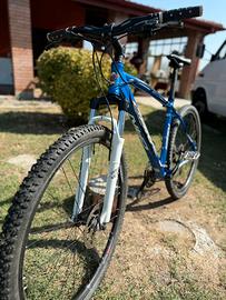 carnielli mtb 29”