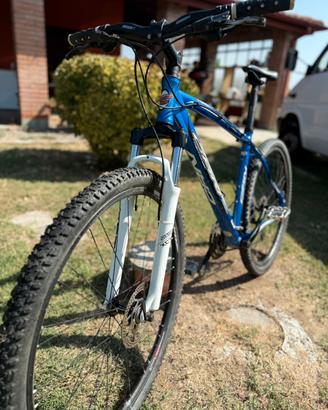 carnielli mtb 29”