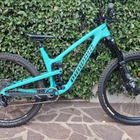 PROPAIN TYEE CF 29 L FOX 38
mtb enduro bici