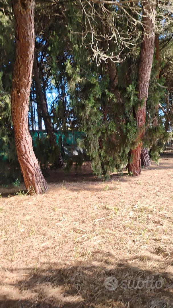 Terreno fra Cervia e Cesenatico - Vista 3
