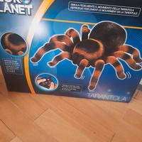 Tarantola MICRO PLANET