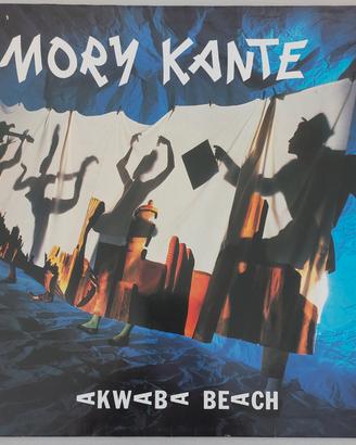 Disco vinile LP 33 giri