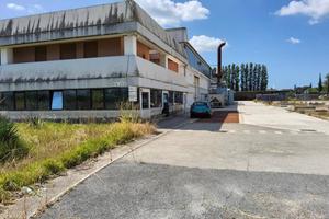 Immobile industriale a Latina - LOTTO 1