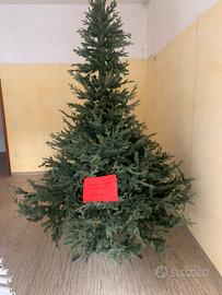 Albero natale 270 cm