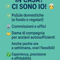 Assistente familiare