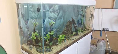 Acquario 300 lt
