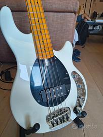 Basso Marcus Miller Z3 5 corde