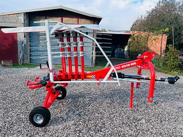 Giroandanatore Maschio