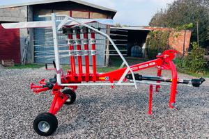 Giroandanatore Maschio