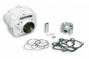 Gruppo termico Malossi da 56 Pit Bike 150 4T 31136