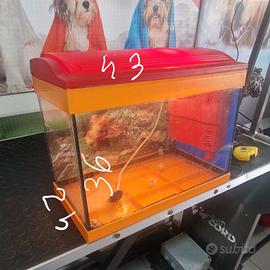 acquario completo 