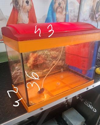 acquario completo 
