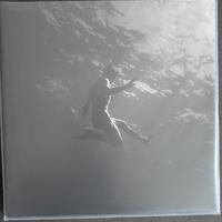 Vinile Autografato Blanco - Blu celeste 