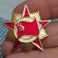 Spilla Ordine della Bandiera rossa 1918