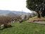Immagine 25