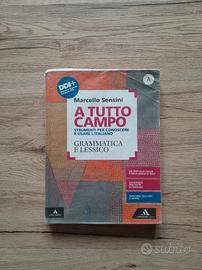 Libro grammatica A tutto campo di Marcello Sensini