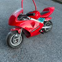 Minimoto 50