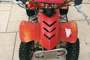 Quad bambino