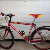 Bicicletta rossa e gialla