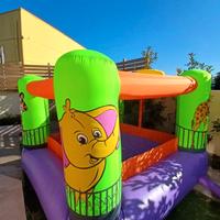 CASTELLO GONFIABILE AD ARIA CONTINUA