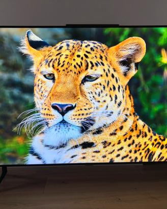 Samsung Smart Tv 4k - Hdmi non funzionante