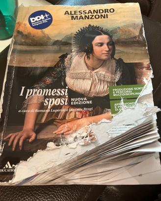 Libri i promessi sposi luperini