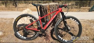 MTB 29 carbon