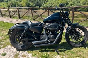Harley davidson 883 sportster iron 2009