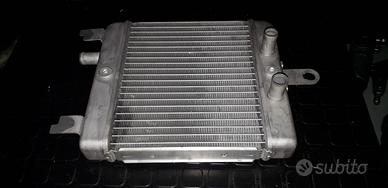 radiatore acqua SUZUKI BURGMAN 125 200 nuovo