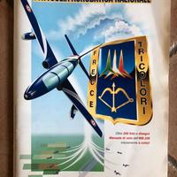 Frecce Tricolori