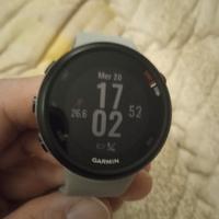 Garmin Forerunner 45 Plus 