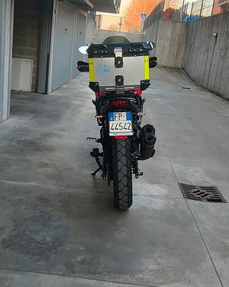 Qjmotor srt600sx