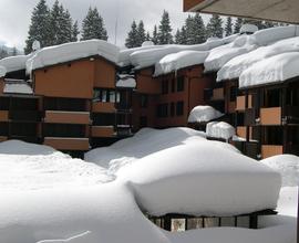 Multiproprieta' Madonna di Campiglio - 2 settimane