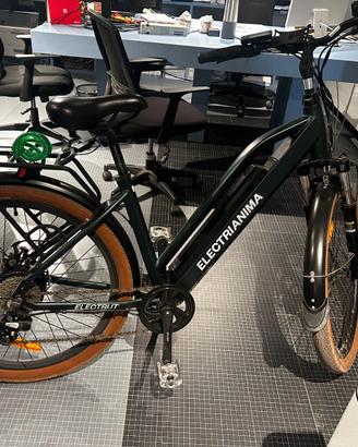 BICICLETTA ELECTRI modello ANIMA