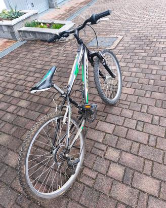 Mountain bike 18 pollici