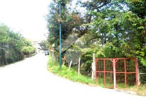 TER. AGRICOLO A SERINO